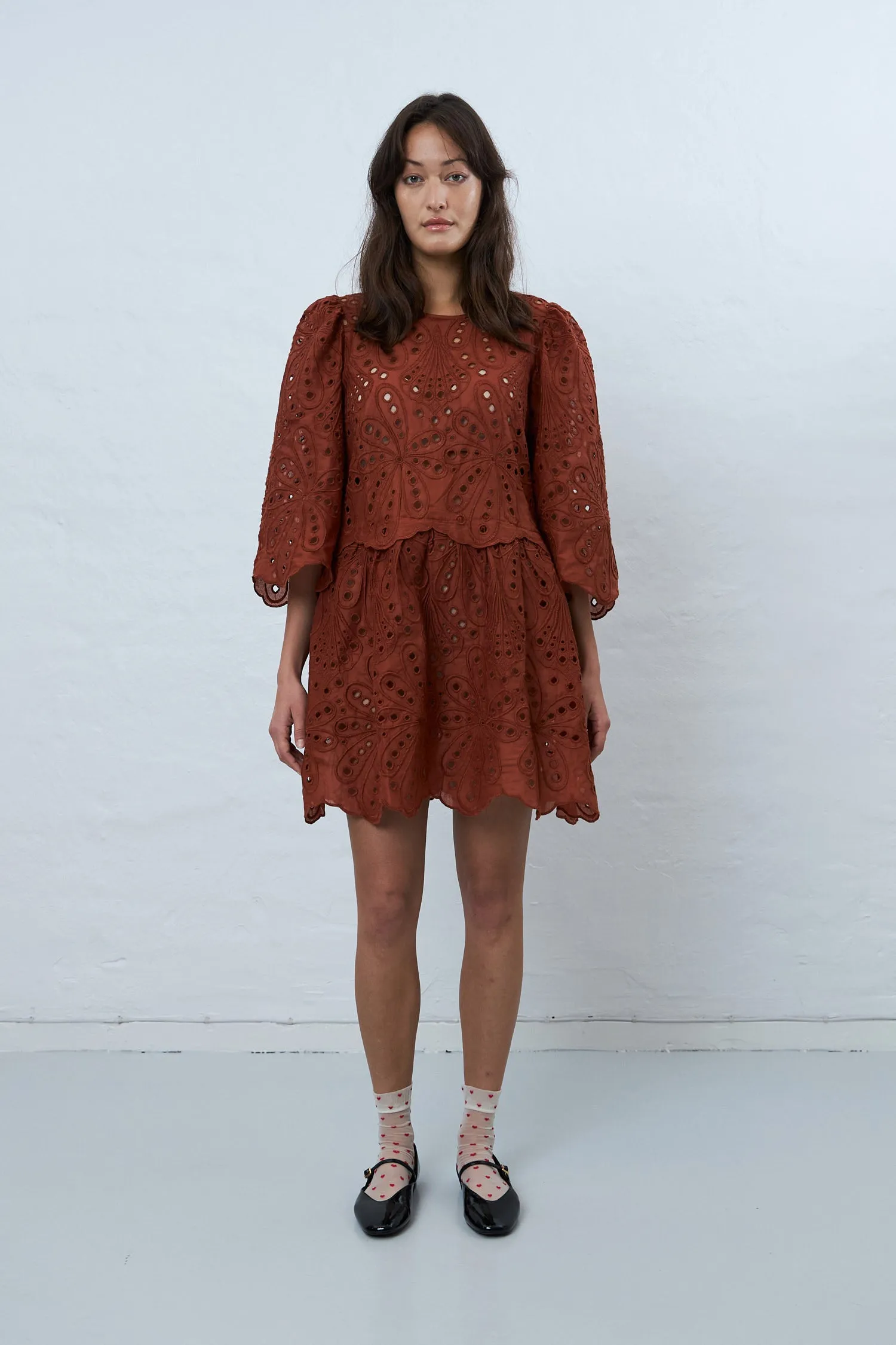 Crisp Delicate embroidered cotton dress - Brown
